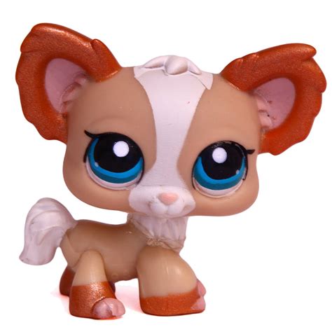 chihuahua lps|littlest pet shop special chihuahua.